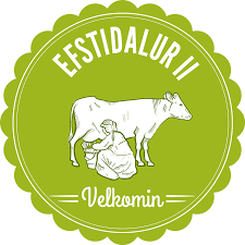 Efstidalur II